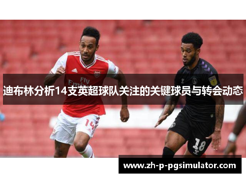 迪布林分析14支英超球队关注的关键球员与转会动态