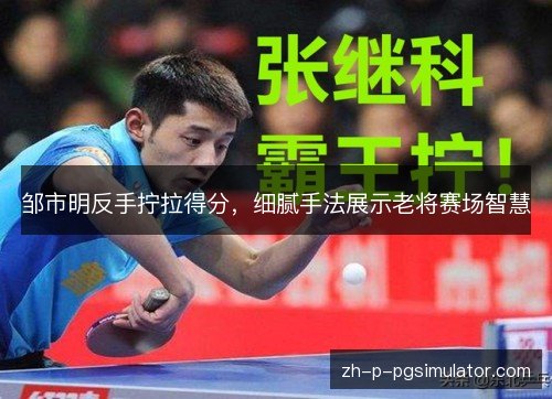 邹市明反手拧拉得分，细腻手法展示老将赛场智慧